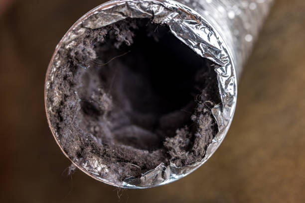 Best Professional Duct Cleaning Services  in Cornersville, TN